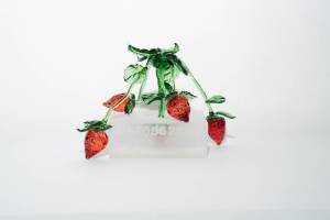 strawberry - kourtney bautz