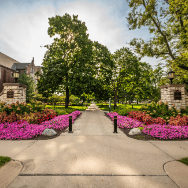 admitted students