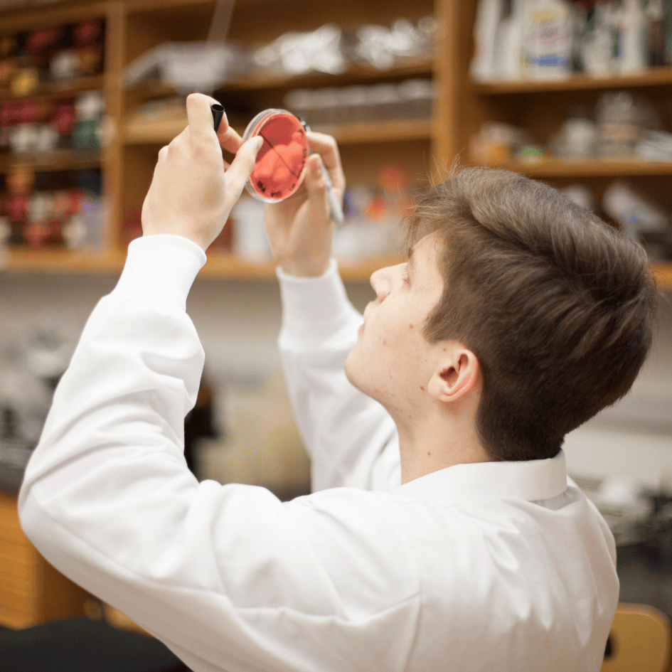Chemistry A chemistry student in a white lab coat holds a red petri dish up to the light to view its contents